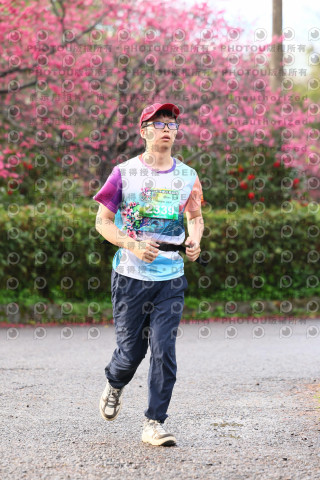 2026左岸竹東櫻花馬拉松Zhudong Sakura Marathon