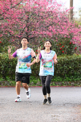 2026左岸竹東櫻花馬拉松Zhudong Sakura Marathon