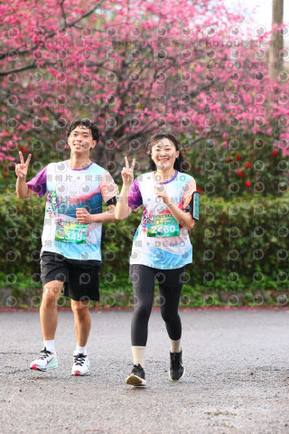 2026左岸竹東櫻花馬拉松Zhudong Sakura Marathon