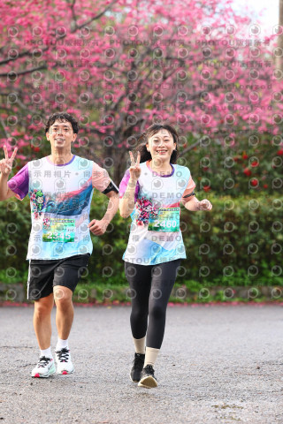 2026左岸竹東櫻花馬拉松Zhudong Sakura Marathon