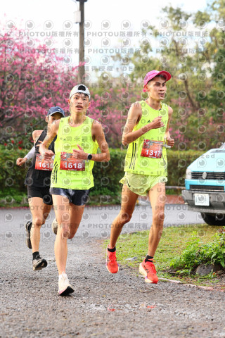 2026左岸竹東櫻花馬拉松Zhudong Sakura Marathon