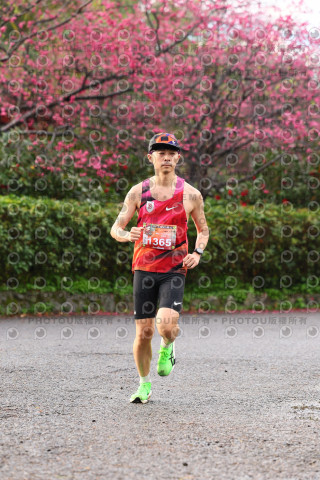 2026左岸竹東櫻花馬拉松Zhudong Sakura Marathon