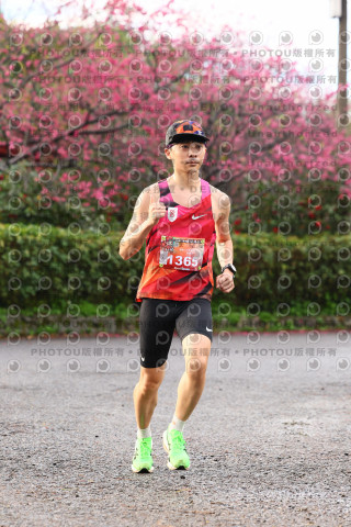 2026左岸竹東櫻花馬拉松Zhudong Sakura Marathon