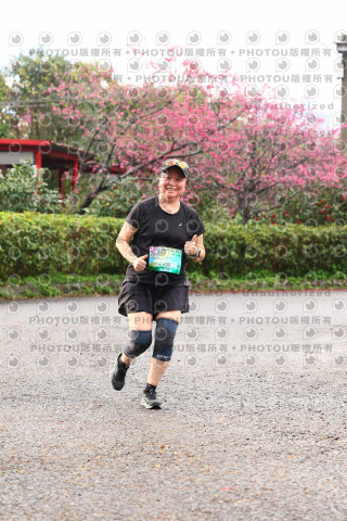 2026左岸竹東櫻花馬拉松Zhudong Sakura Marathon