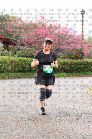 2026左岸竹東櫻花馬拉松Zhudong Sakura Marathon
