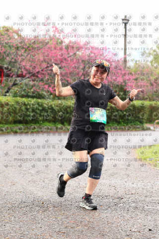 2026左岸竹東櫻花馬拉松Zhudong Sakura Marathon