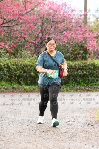 2026左岸竹東櫻花馬拉松Zhudong Sakura Marathon