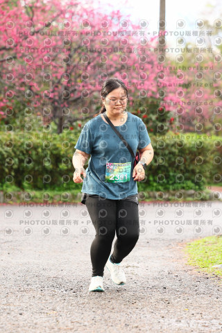 2026左岸竹東櫻花馬拉松Zhudong Sakura Marathon