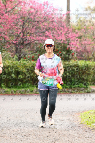 2026左岸竹東櫻花馬拉松Zhudong Sakura Marathon
