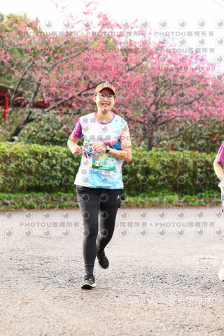 2026左岸竹東櫻花馬拉松Zhudong Sakura Marathon
