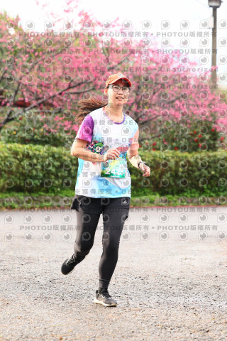 2026左岸竹東櫻花馬拉松Zhudong Sakura Marathon