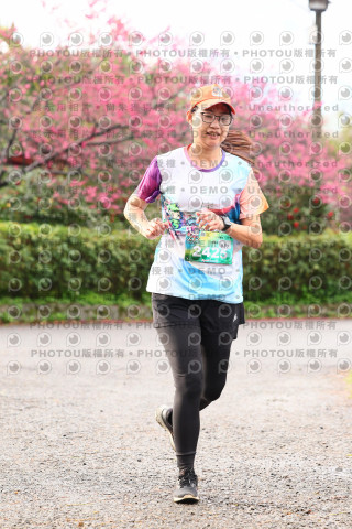 2026左岸竹東櫻花馬拉松Zhudong Sakura Marathon