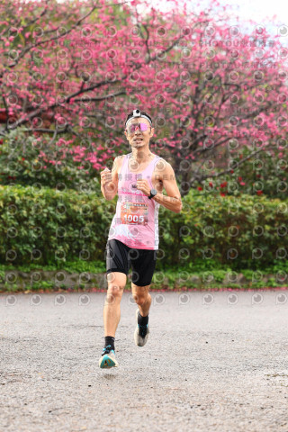 2026左岸竹東櫻花馬拉松Zhudong Sakura Marathon