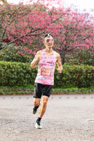 2026左岸竹東櫻花馬拉松Zhudong Sakura Marathon