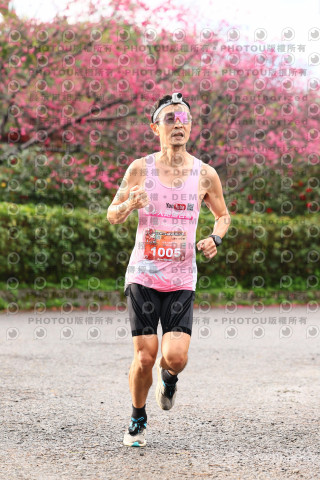 2026左岸竹東櫻花馬拉松Zhudong Sakura Marathon