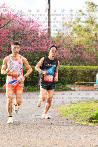 2026左岸竹東櫻花馬拉松Zhudong Sakura Marathon