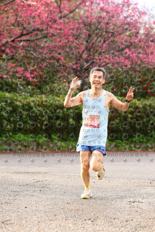 2026左岸竹東櫻花馬拉松Zhudong Sakura Marathon