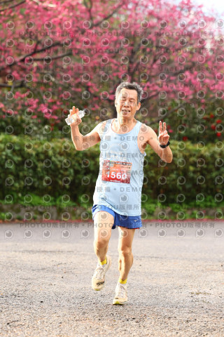 2026左岸竹東櫻花馬拉松Zhudong Sakura Marathon
