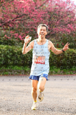 2026左岸竹東櫻花馬拉松Zhudong Sakura Marathon