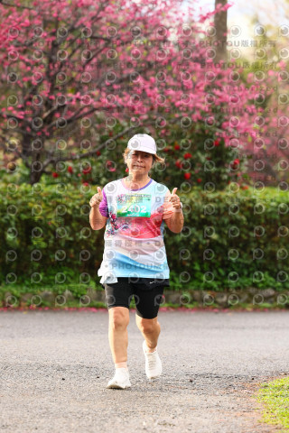 2026左岸竹東櫻花馬拉松Zhudong Sakura Marathon