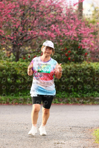 2026左岸竹東櫻花馬拉松Zhudong Sakura Marathon