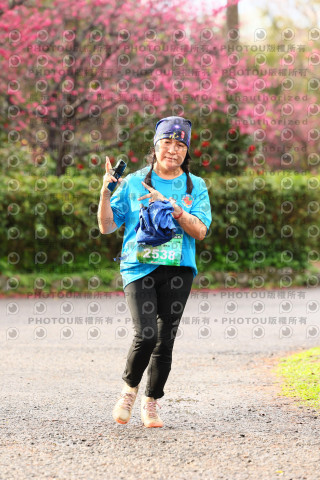 2026左岸竹東櫻花馬拉松Zhudong Sakura Marathon