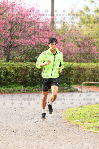 2026左岸竹東櫻花馬拉松Zhudong Sakura Marathon