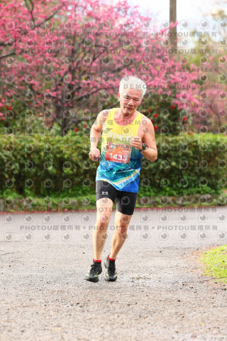 2026左岸竹東櫻花馬拉松Zhudong Sakura Marathon