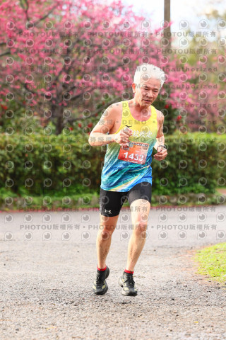 2026左岸竹東櫻花馬拉松Zhudong Sakura Marathon