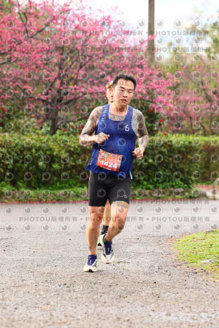 2026左岸竹東櫻花馬拉松Zhudong Sakura Marathon