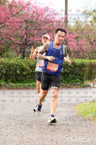 2026左岸竹東櫻花馬拉松Zhudong Sakura Marathon