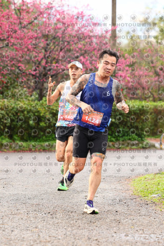 2026左岸竹東櫻花馬拉松Zhudong Sakura Marathon