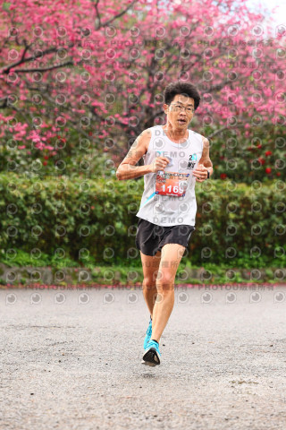 2026左岸竹東櫻花馬拉松Zhudong Sakura Marathon