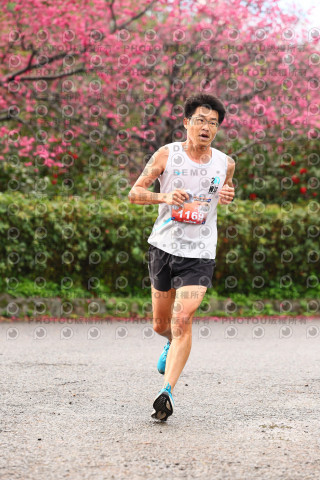 2026左岸竹東櫻花馬拉松Zhudong Sakura Marathon