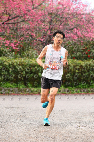 2026左岸竹東櫻花馬拉松Zhudong Sakura Marathon