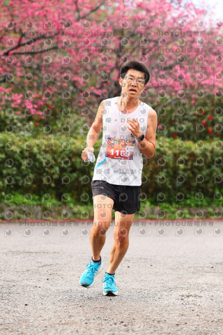 2026左岸竹東櫻花馬拉松Zhudong Sakura Marathon