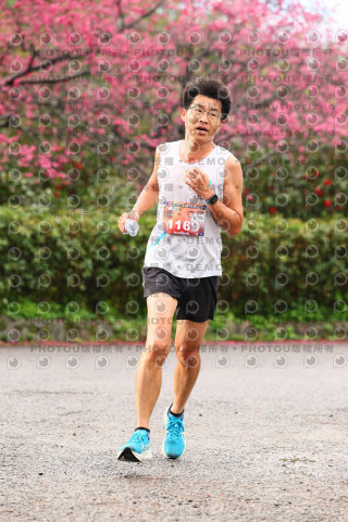 2026左岸竹東櫻花馬拉松Zhudong Sakura Marathon