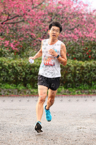 2026左岸竹東櫻花馬拉松Zhudong Sakura Marathon