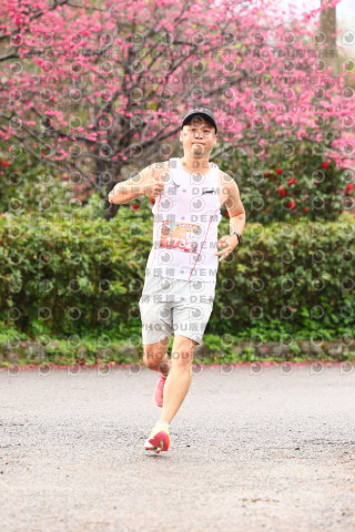 2026左岸竹東櫻花馬拉松Zhudong Sakura Marathon