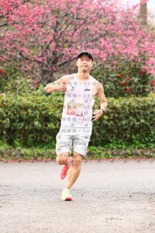 2026左岸竹東櫻花馬拉松Zhudong Sakura Marathon
