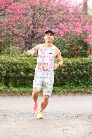 2026左岸竹東櫻花馬拉松Zhudong Sakura Marathon