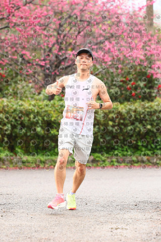 2026左岸竹東櫻花馬拉松Zhudong Sakura Marathon