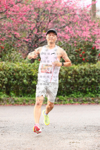 2026左岸竹東櫻花馬拉松Zhudong Sakura Marathon
