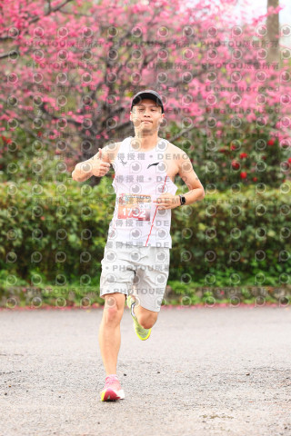 2026左岸竹東櫻花馬拉松Zhudong Sakura Marathon