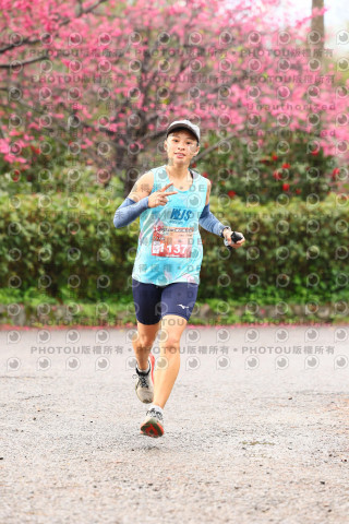 2026左岸竹東櫻花馬拉松Zhudong Sakura Marathon