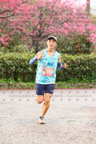 2026左岸竹東櫻花馬拉松Zhudong Sakura Marathon