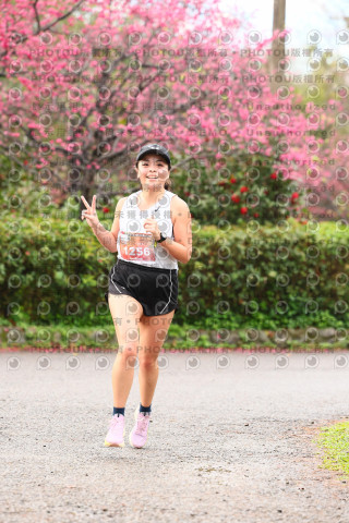 2026左岸竹東櫻花馬拉松Zhudong Sakura Marathon
