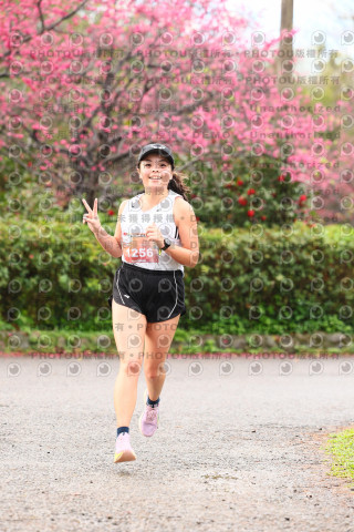 2026左岸竹東櫻花馬拉松Zhudong Sakura Marathon