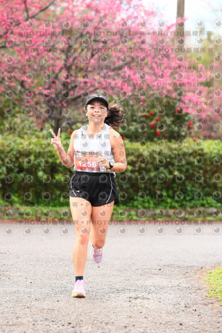 2026左岸竹東櫻花馬拉松Zhudong Sakura Marathon