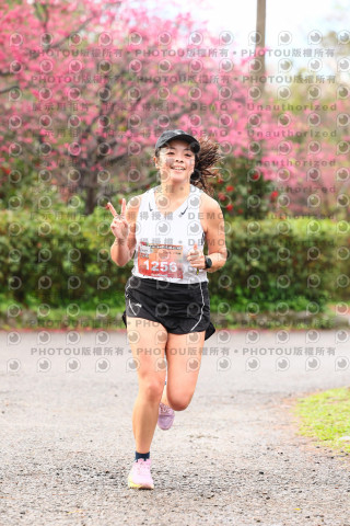 2026左岸竹東櫻花馬拉松Zhudong Sakura Marathon